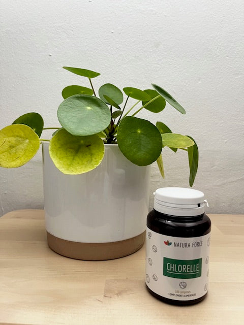Chlorelle-NaturaForce-monUKIYO-Sion-Valais