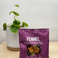 Fenouil1-PepetLekker-MonUkiyo-Sion-Valais