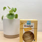 Pural-CrackerParmesan-MOnUkiyo-Sion-Valais