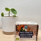 Pain sans gluten: avoine, carotte et potiron